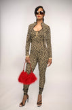 Leopard Jumpsuit Set